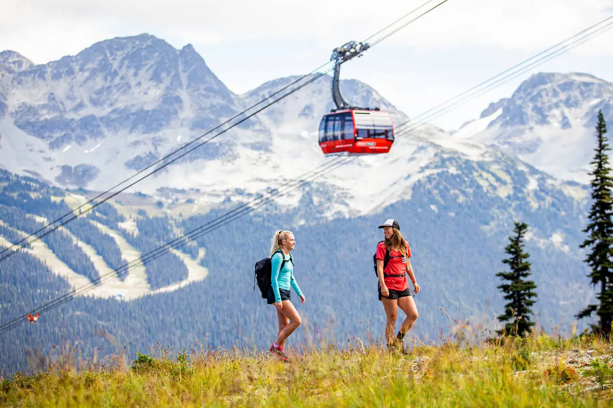 Whistler alpine views summer